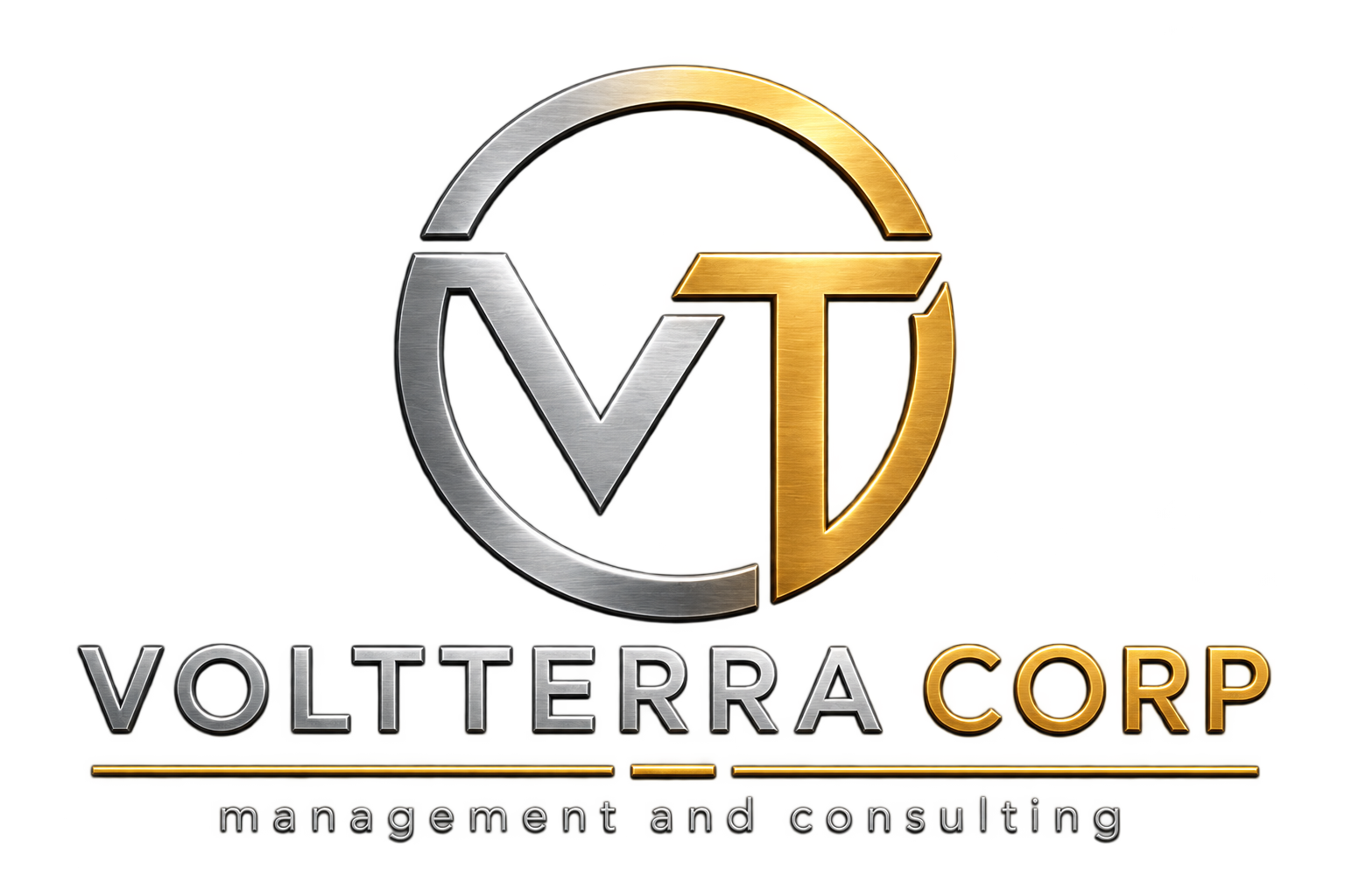 VOLTTERRA CORP — management and consulting