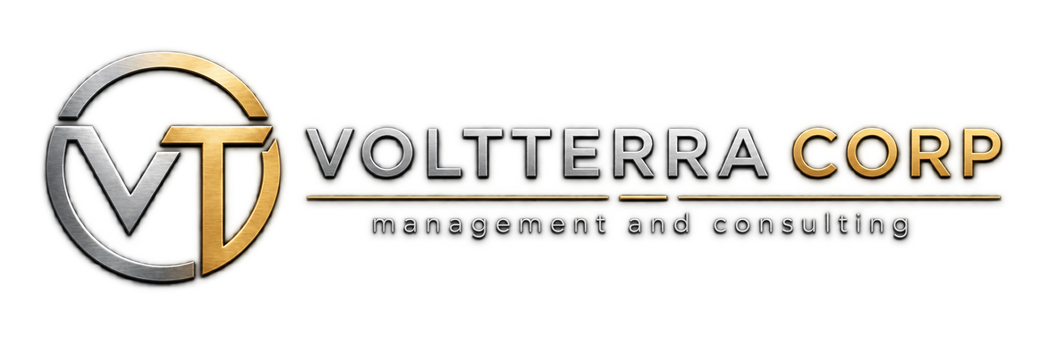 VOLTTERRA CORP — management and consulting